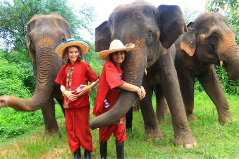 elephant village sanctuary chiang mai|ELEPHANT FREEDOM FULL DAY TOUR .